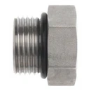 6405 O-Ring to Pipe, Male ORB x Female NPT Adapter