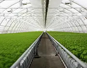 Agriculture
